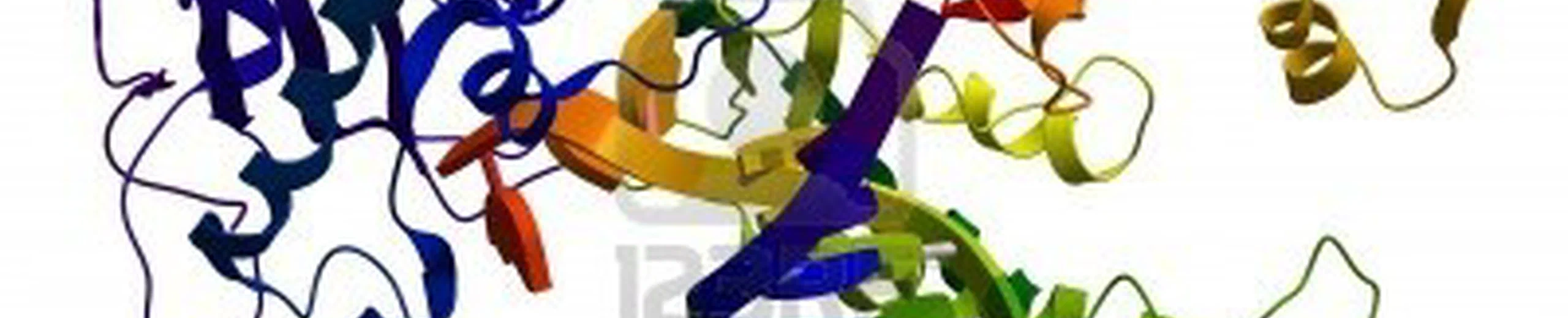 Réplication de l'ADN