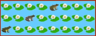 nenuphars