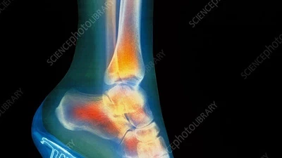 Photos de Science featured image