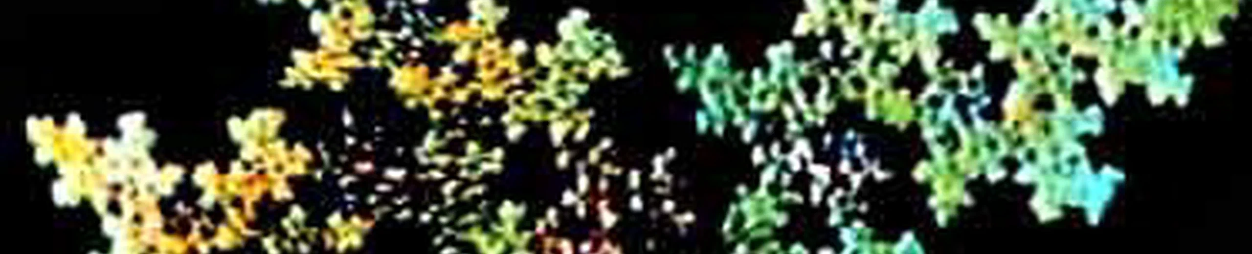 Video Feedback Fractals