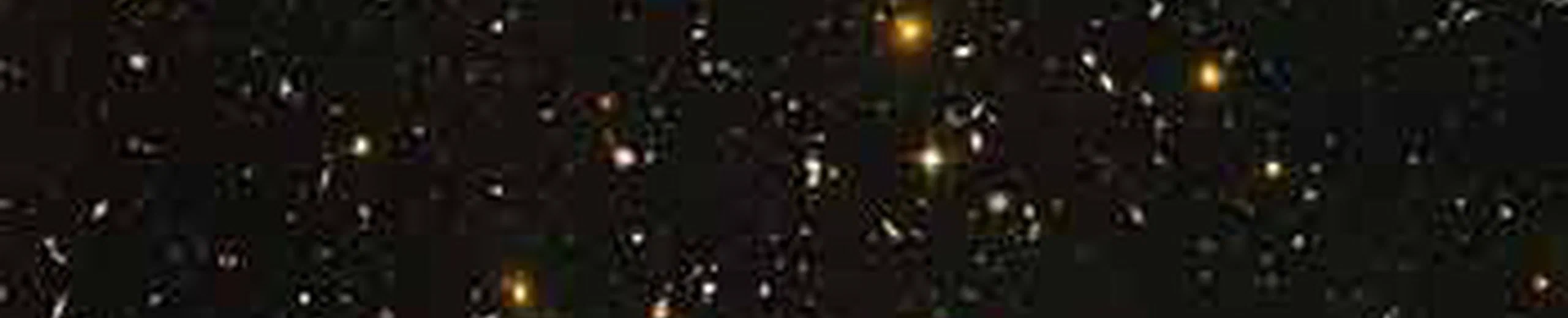 un festival de Galaxies