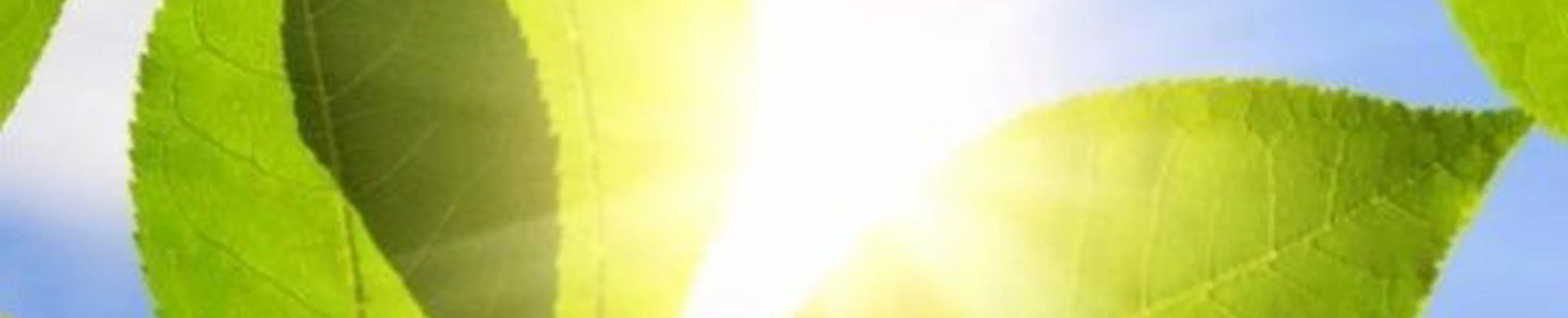 Sun Catalytics : du soleil à l'hydrogène sans passer par l'électricité ?