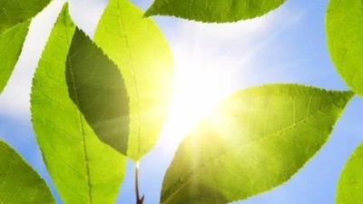 Sun Catalytics : du soleil à l'hydrogène sans passer par l'électricité ? featured image