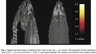igNobel 2012 et dangers de la coloscopie featured image