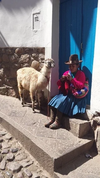 Lean de Laine : production optimisée de tricot en alpaga (photo Dr. Goulu sur flickr)