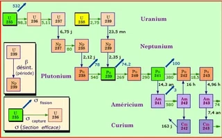 production d'actinides par captures de neutrons dans un réacteur [[2]](#ref-2) © IN2P3