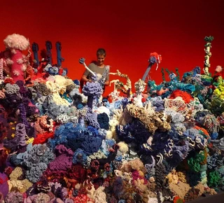 Récif corallien en crochet de l'Institute for Figuring des soeurs Wertheim