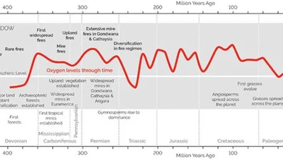Comment se fait-il que le taux d'oxygène soit le même depuis des milliers d'années ? Est-ce que la nature s'autorégule entre les consommateurs d'oxygène et les producteurs (comme certaines bactéries) ? Si oui, comment ? featured image