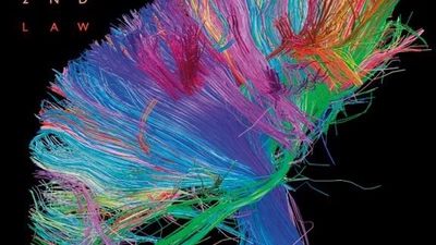 Jusqu'à quel nombre de neurones pourrions-nous scanner et simuler un cerveau avec un supercalculateur ? Le fonctionnement serait-il le même ? featured image