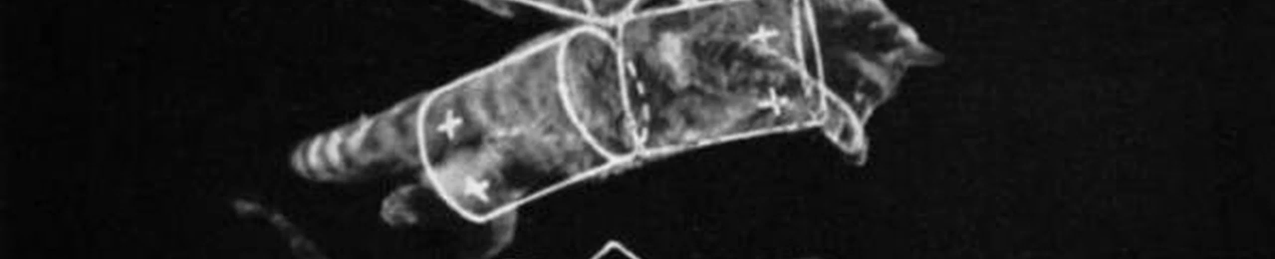 Quels sont les phénomènes surprenants déjà capturés par des scientifiques ?