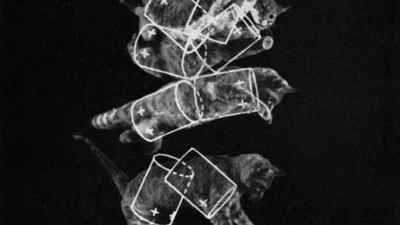 Quels sont les phénomènes surprenants déjà capturés par des scientifiques ? featured image