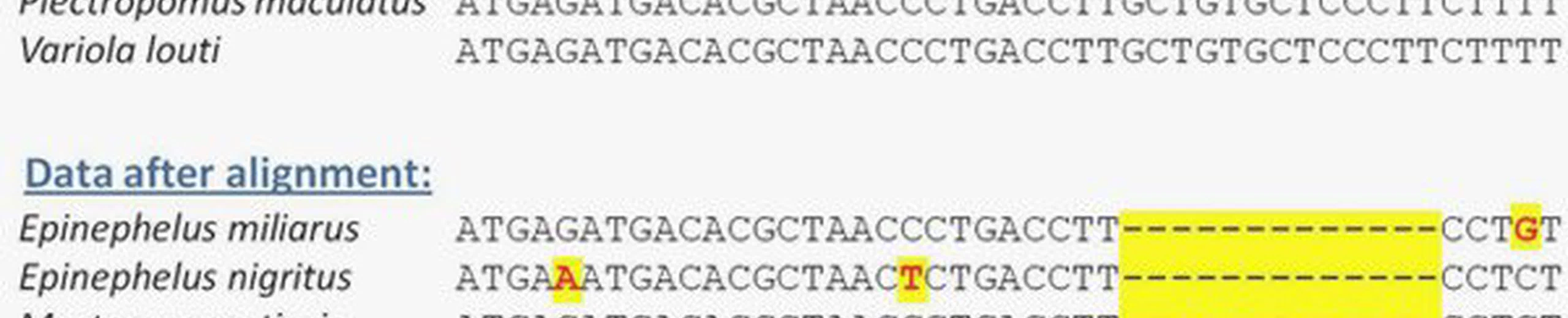 Comment la radioactivité peut-elle provoquer des mutations dans les êtres vivants?