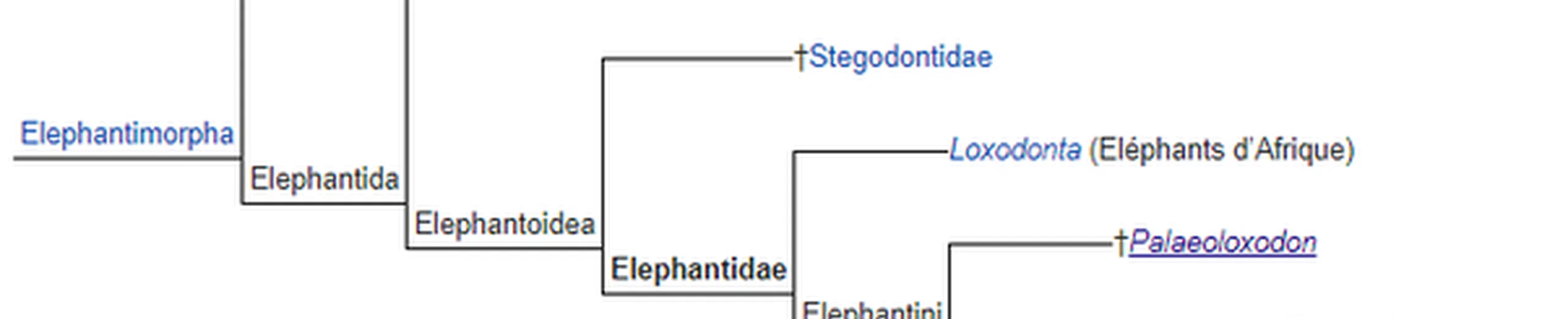 Quels sont les types d'éléphants qui ont disparu ?
