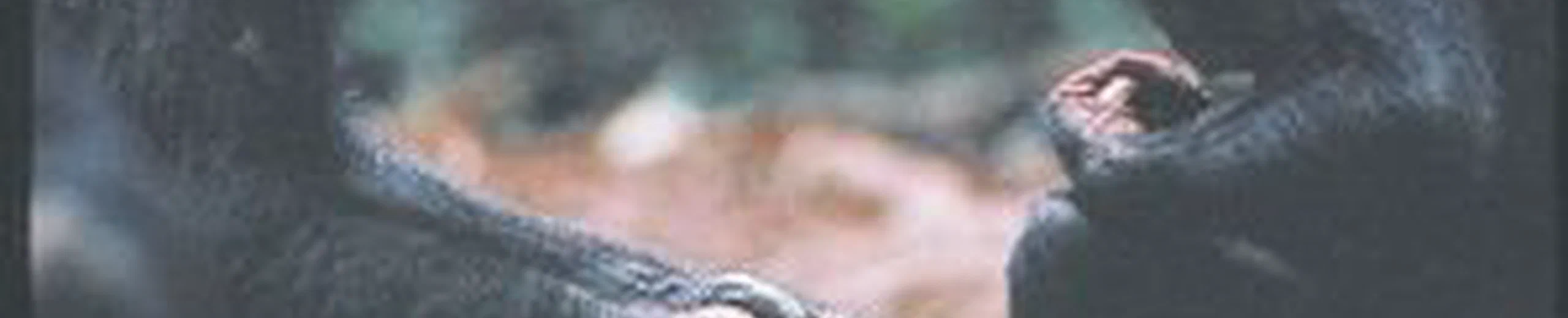 La connaissance est-elle quelque chose qui distingue l'espèce humaine sur Terre ?