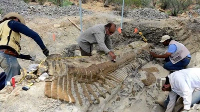 Quelles sont les preuves que les dinosaures ont réellement existé ? featured image