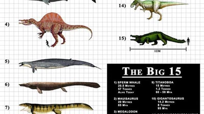 Quel est le plus gros et meurtrier prédateur ayant jamais existé sur Terre ? featured image