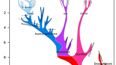 Les premiers hommes sur la Terre sont de quelle race ? featured image